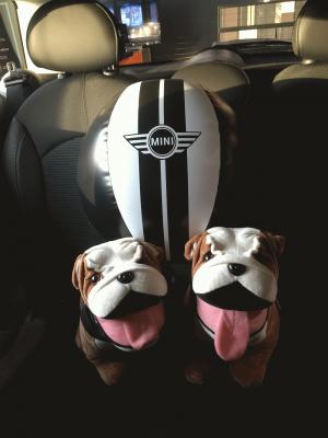 晴天！！！！！！