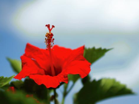 夏到来間近！！