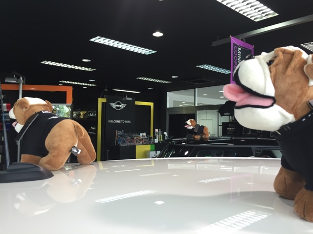 スパイクの視線の先には・・・？