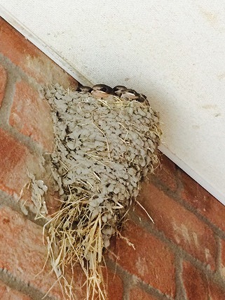 今日は何の日？