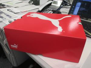 定休日レビュー「MINICOLLCTIONのくつ」ご紹介