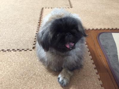 アイシティ２１ でイベントします♪